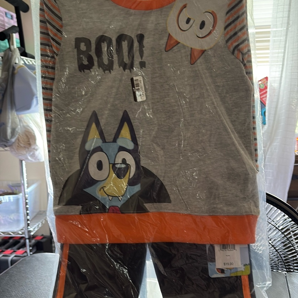 Bluey outfit new